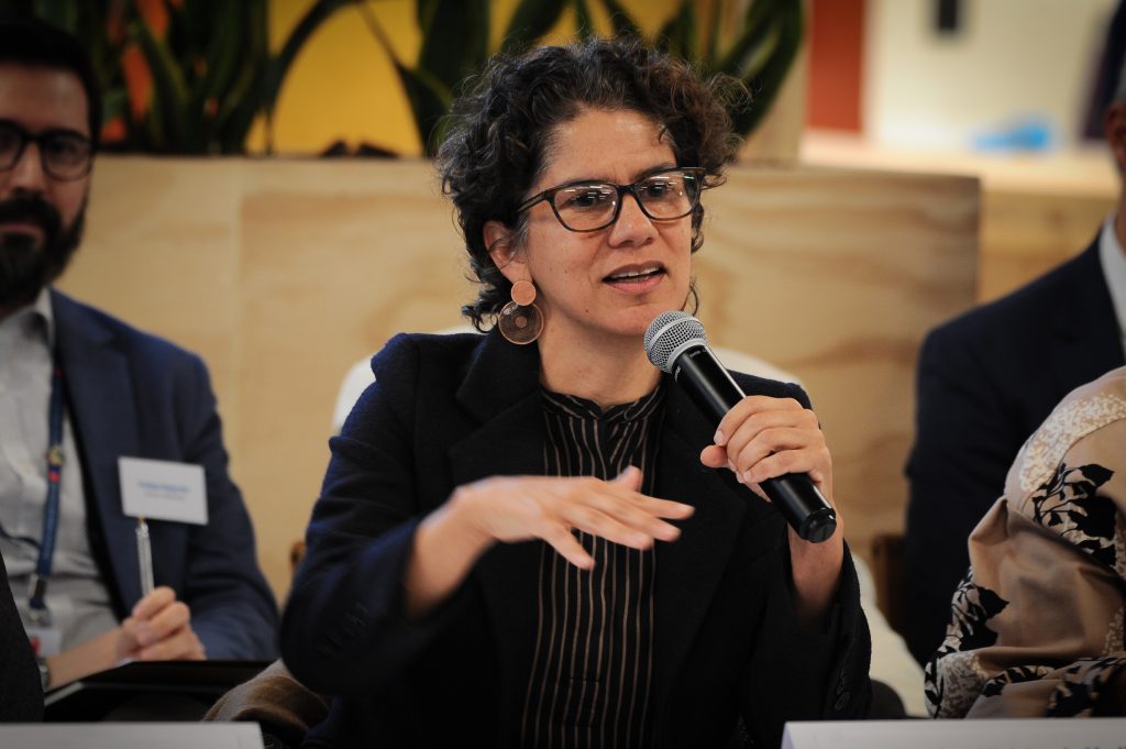 Dominga: Ministerio del Medio Ambiente advierte que “hay recursos pendientes” y evalúa próximas acciones