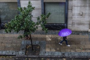 Actualizan aviso por viento en siete regiones del país: Hasta 70 km/h en la región Metropolitana
