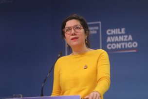 Ministra vocera (s) de Gobierno por primarias: