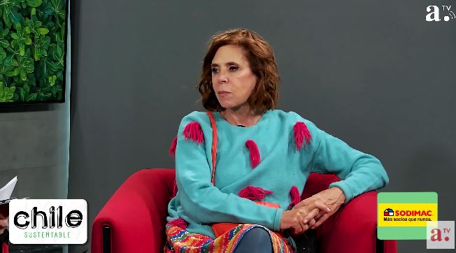 Agatha Ruiz de la Prada en Chile Sustentable: 