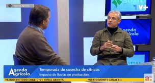 Expertos entregan claves para enfrentar lluvias extremas y destacan avances en la agricultura chilena