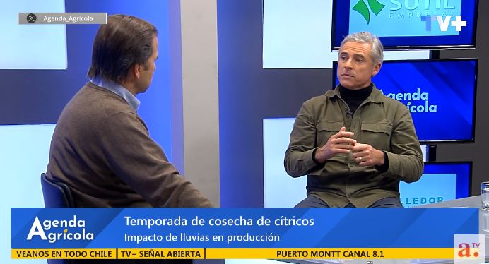 Expertos entregan claves para enfrentar lluvias extremas y destacan avances en la agricultura chilena