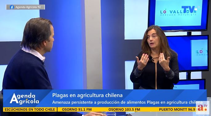 Especialistas analizan amenazas, oportunidades y herramientas de innovación para la agricultura nacional