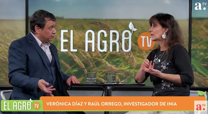 Clima, heladas y economía: Expertos destacan los desafíos de la agricultura en esta temporada