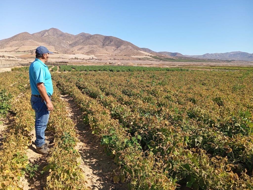 Ministerio de Agricultura despliega Plan Invierno 2025 para enfrentar eventos climáticos extremos