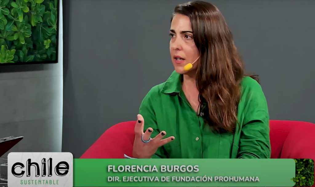 Chile Sustentable: Florencia Burgos, directora ejecutiva de Fundación ProHumana y el rol de la reportabilidad