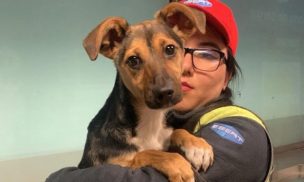 Cachorra rescatada en estación Plaza Egaña busca familia