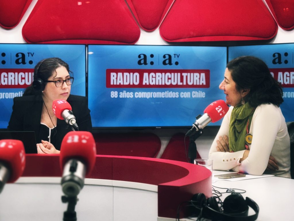 Ministra Etcheverry: 