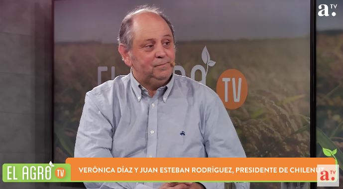 Industria de la nuez proyecta sólida recuperación y apunta a India como mercado clave
