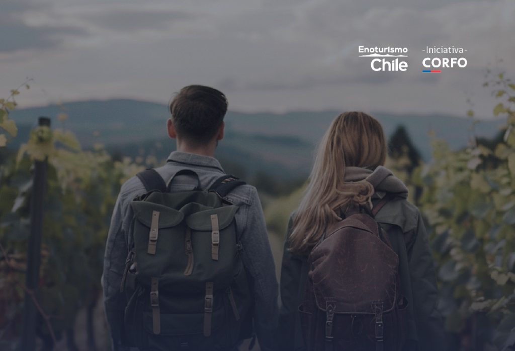 Viñas chilenas ofrecen panoramas únicos para disfrutar en familia