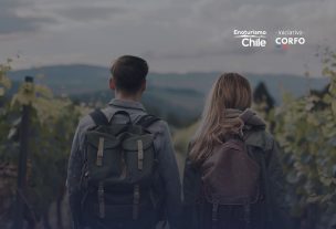 Viñas chilenas ofrecen panoramas únicos para disfrutar en familia