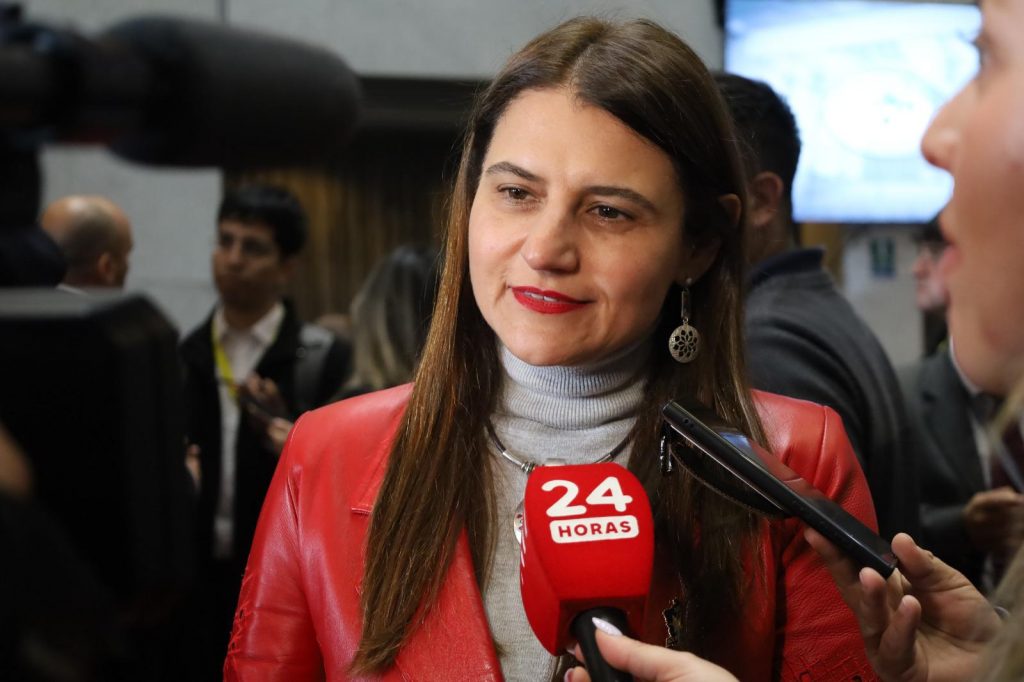 Cuenta Pública: Diputada Sofía Cid señala errores del Gobierno y falta de foco en seguridad y minería en Atacama