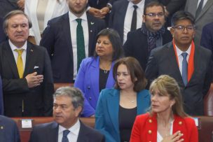 Diputada Marcia Raphael crítica falta de anuncios para la región de Aysén en Cuenta Pública