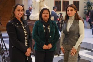 Piden test de VPH universal: Bancada Rosa y organizaciones abordan urgencias ginecológicas