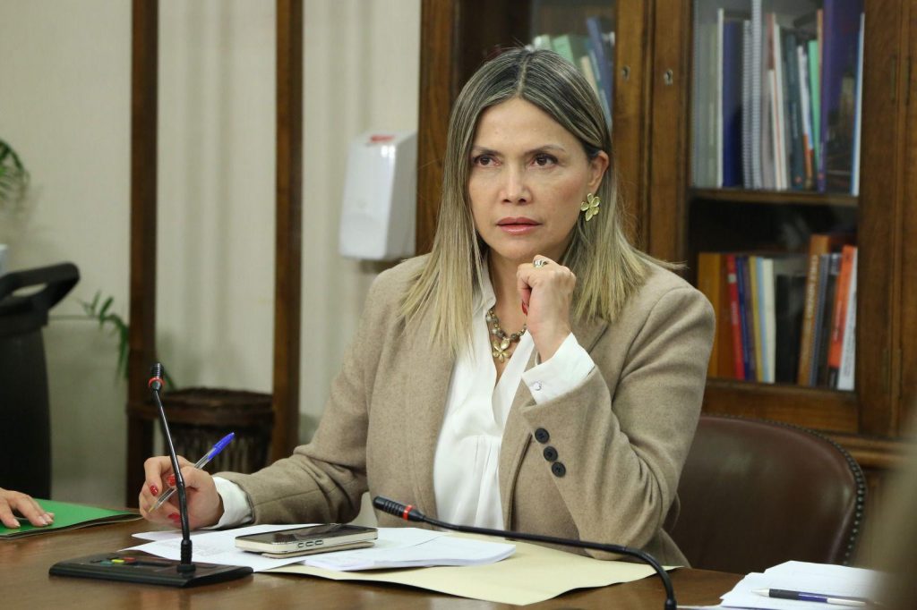 “No podemos naturalizar los homicidios diarios”: Diputada Marlene Pérez exige sesión urgente de la Comisión de Seguridad en el Biobío