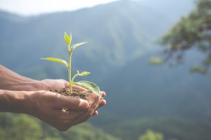 5 acciones que parecen pequeñas (pero no lo son) y pueden marcar una gran diferencia por el Planeta