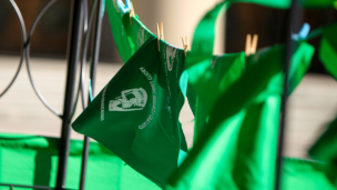 Aborto legal en Chile: proyecto inicia tramitación sin urgencia del Gobierno