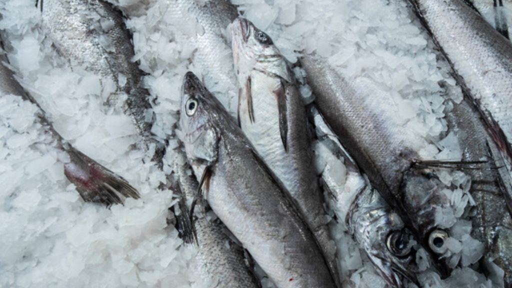 PacificBlu revierte cierre tras acuerdos clave en la Comisión Mixta de Pesca