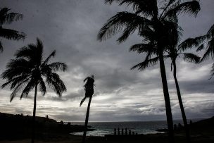 VIDEO | Alerta de tsunami: registro muestra llegada del tren de olas a Rapa Nui