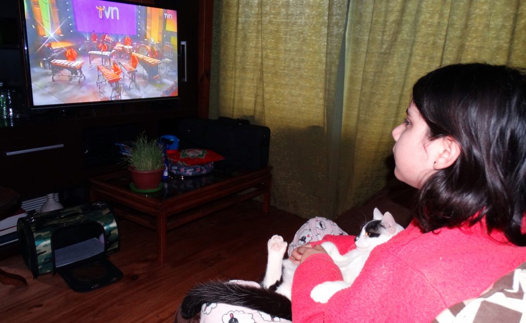 NTV lidera entre las señales culturales y destaca en el ranking infantil nacional