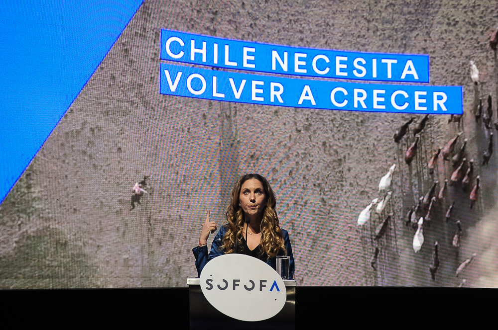 Presidenta de Sofofa valora aprobación del proyecto de ley de permisos sectoriales: “Es un avance sustantivo para la inversión sostenible”