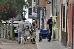 Alerta de tsunami: qué hacer para proteger a tus mascotas