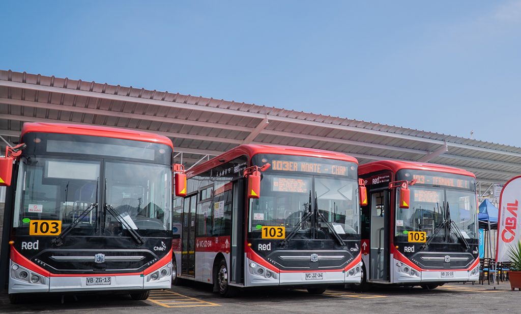 Antofagasta incorpora 12 nuevos buses eléctricos y lidera la electromovilidad fuera de Santiago