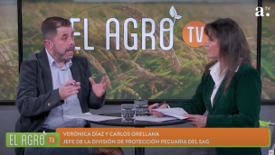 El Agro y el SAC abordan la anemia infecciosa equina: