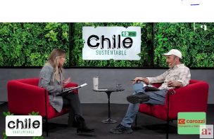 Chile Sustentable: Conoce las iniciativas de reforestación regenerativa y nuevo proyecto de moda sostenible