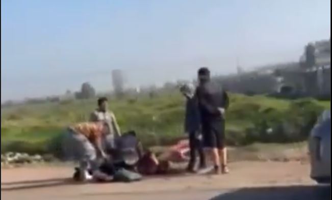 Investigan faenamiento ilegal de caballos en plena vía pública en Colina