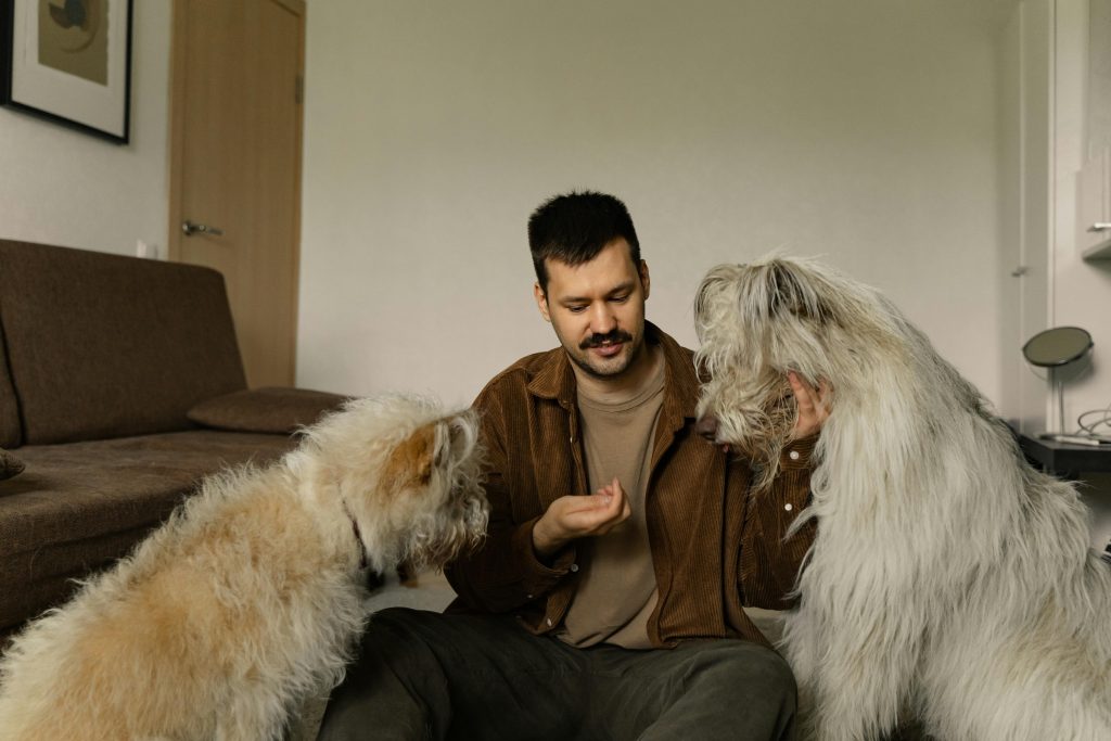 Siete de cada diez hogares en Chile conviven con una mascota