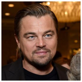 ONG cofundada por DiCaprio adquiere isla Guafo para su preservación ambiental