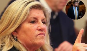 Diputada Naveillán (PNL) por presidenciales: