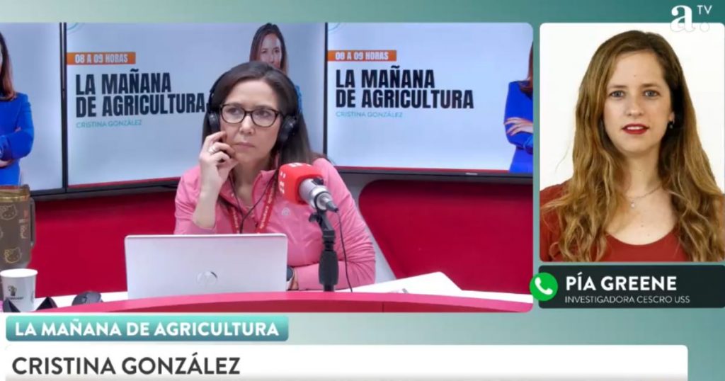 Pía Greene alerta fragilidad del sistema tras fuga de sicario: “Es de extrema gravedad”