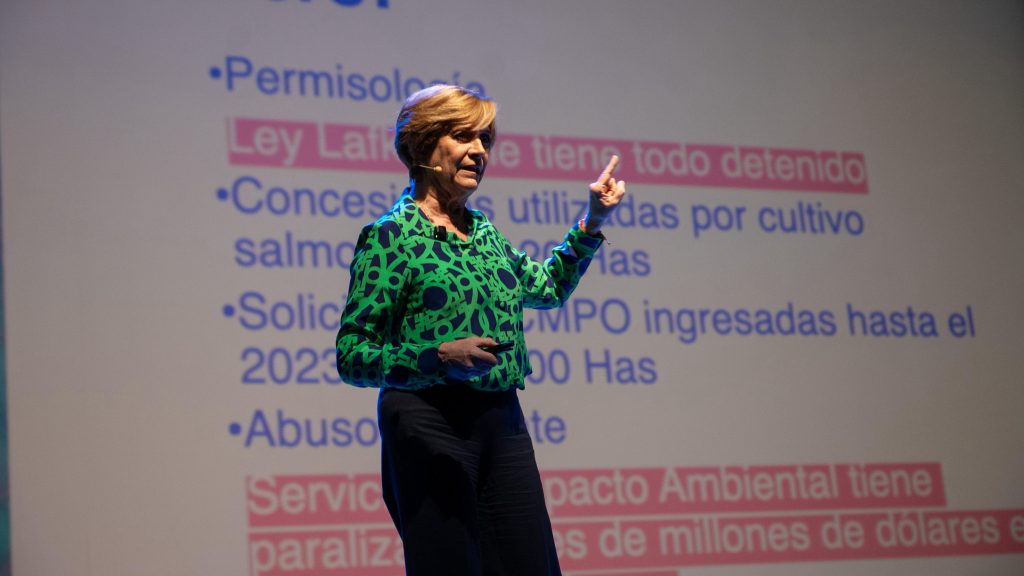 Evelyn Matthei: 