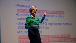 Evelyn Matthei: 