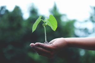 Chile enfrenta una pérdida crítica de biodiversidad y expertos llaman a integrar a las comunidades en su protección