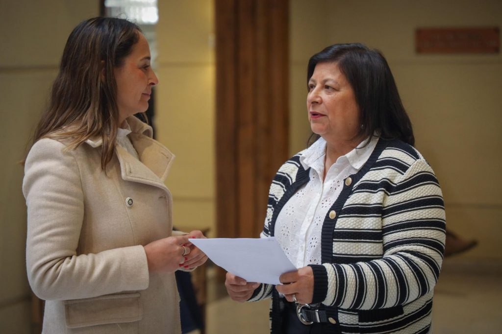 Diputadas piden a Boric medidas urgentes tras asesinato de niña en Maipú: “¿Qué país le estamos dejando a Violeta?”