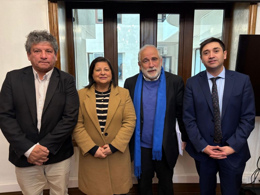 Diputados de la Región de Aysén solicitan al ministro de Vivienda agilizar solución habitacional a comités afectados