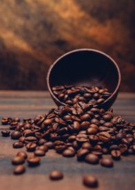 ¿Fanático del café? La feria cafetera más grande del país regresa este 19 y 20 de julio a Santiago con Bolivia como país anfitrión