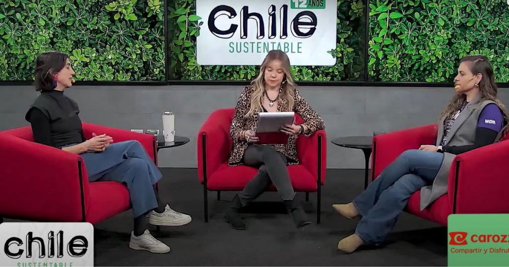 Chile Sustentable: Escuelas, prácticas y felicidad laboral, los proyectos que quieren transformar Chile