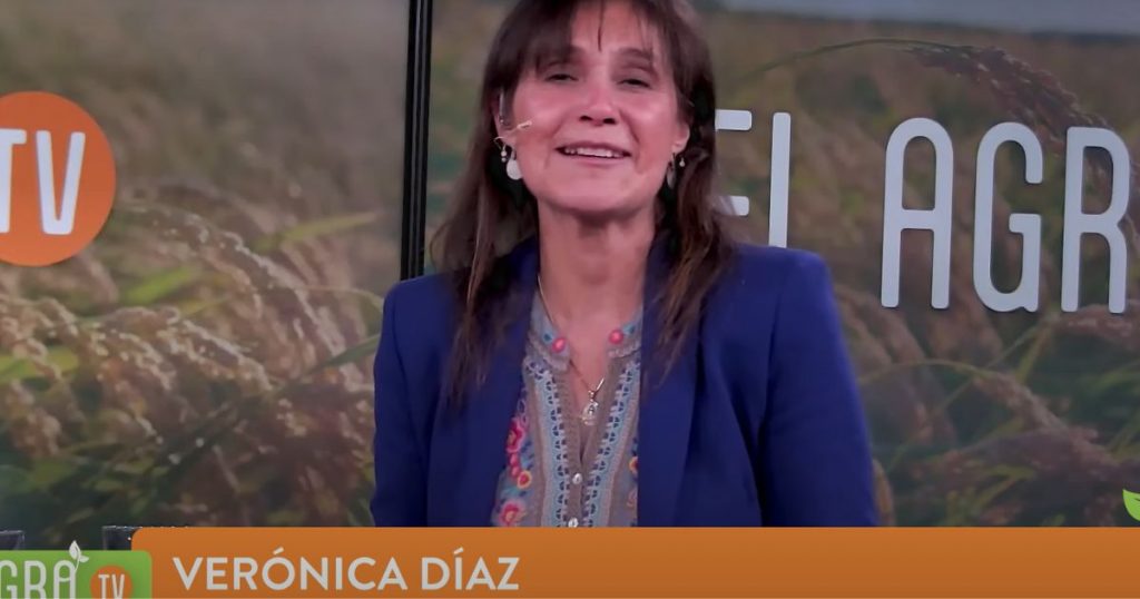 El Agro: Ciruelo europeo y palta chilena protagonistas de innovación agrícola