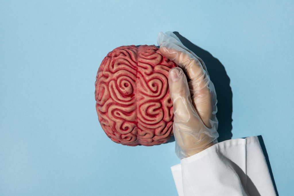 Día Mundial del Cerebro: cómo cuidar tu salud cerebral y prevenir enfermedades neurológicas