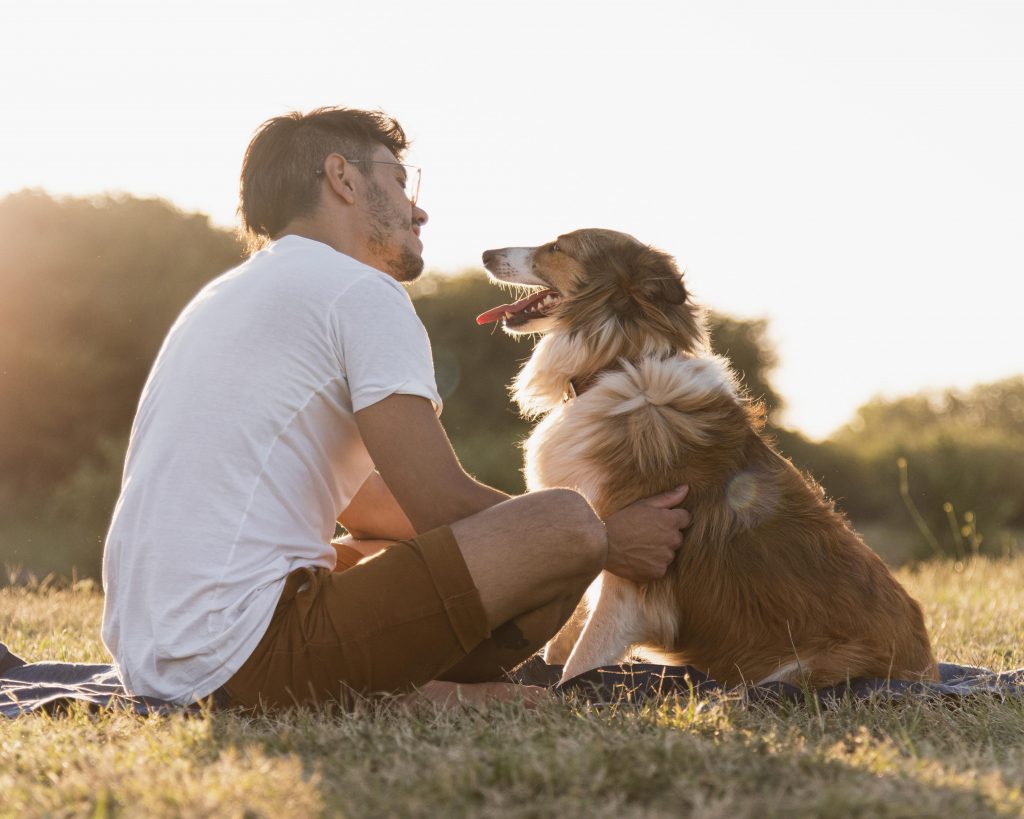 Día Mundial del Perro: los beneficios emocionales de tener un perro en casa