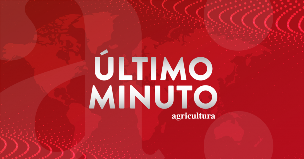 Codelco confirma a minero fallecido en la mina El Teniente