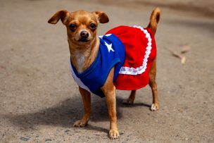 ¡Celebración XL! Conoce qué días serán feriados en estas Fiestas Patrias 2025