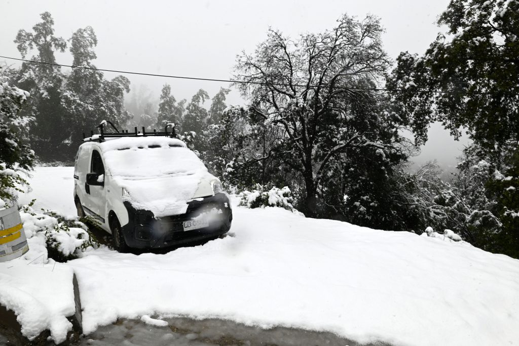 Emplazan al Ministerio de Agricultura a realizar catastro de afectados tras caída de nieve en La Araucanía