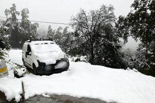 Emplazan al Ministerio de Agricultura a realizar catastro de afectados tras caída de nieve en La Araucanía