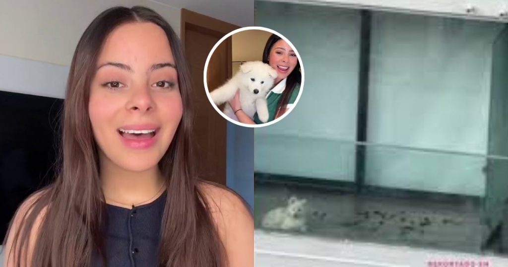 Tiktoker venezolana rompe el silencio tras denuncias por su perro: “Estaba enfermo”