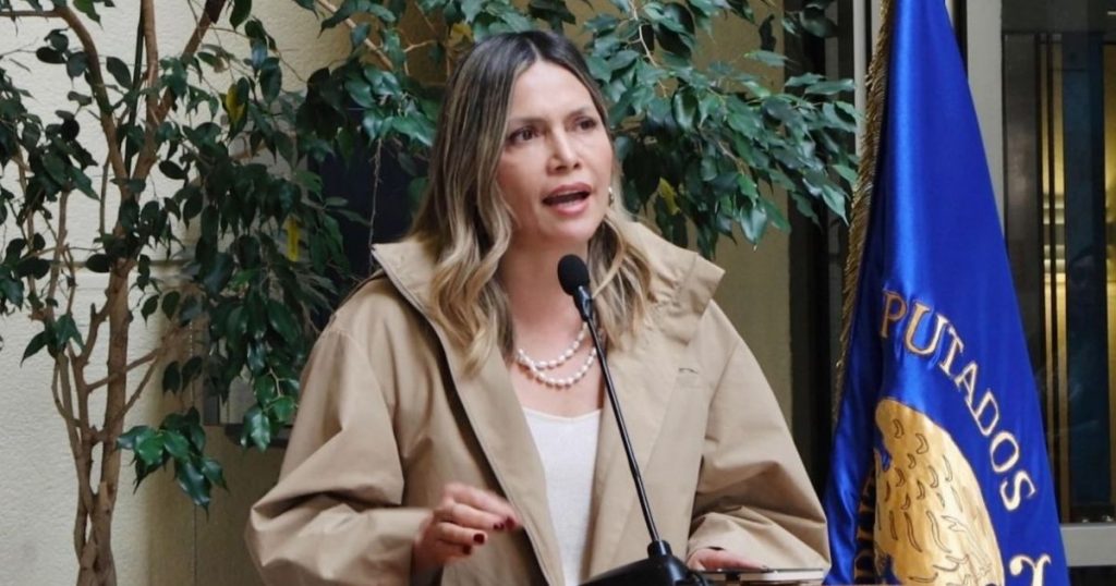 Diputada Marlene Pérez exige medidas al Gobierno para enfrentar uso de plataformas digitales por el crimen organizado